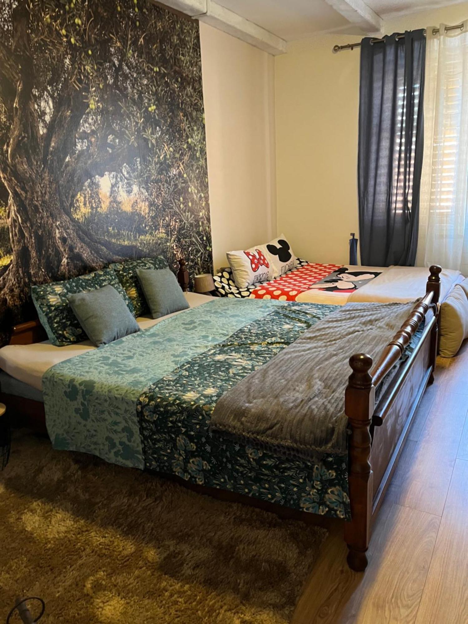 Apartament Augusta Pula Zewnętrze zdjęcie